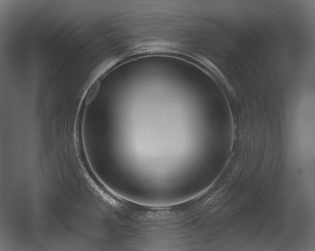 X0000054361285200508011210
