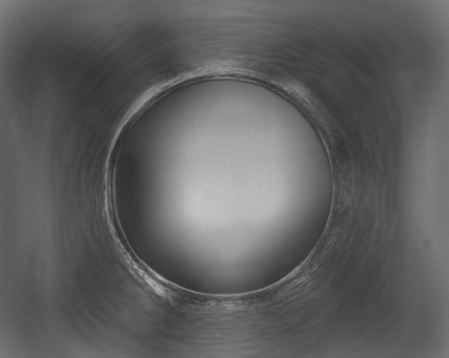 X0000054361286200508011210