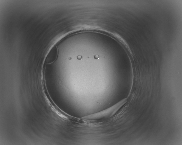 X0000054361287200508011210