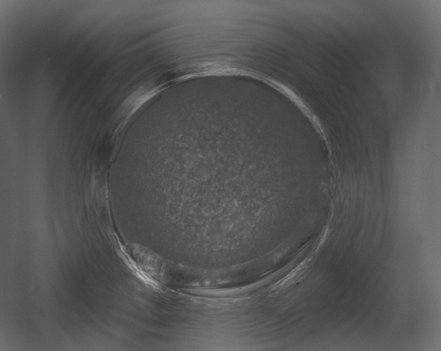X0000054361289200508011210