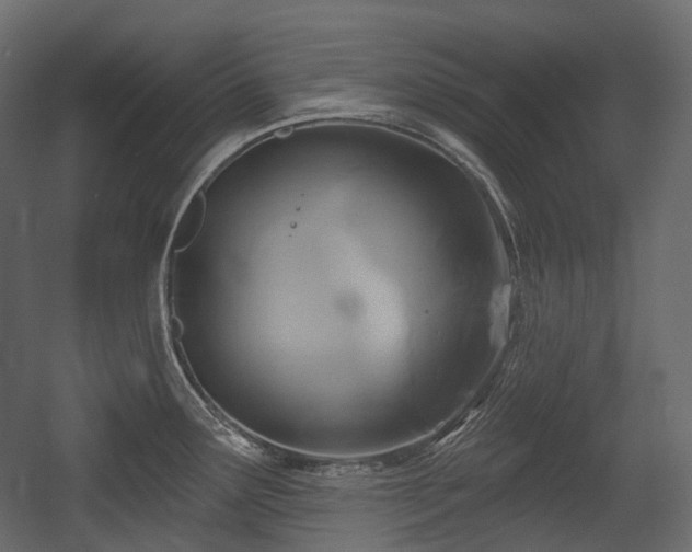 X0000054361291200508011210