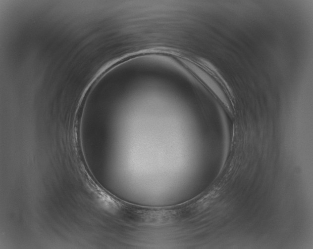 X0000054361292200508011210