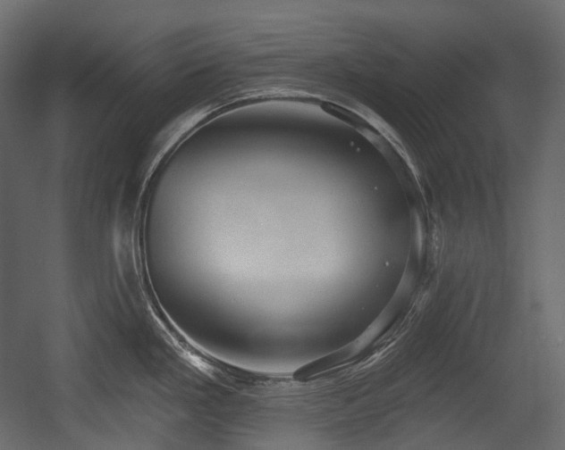 X0000054361293200508011210