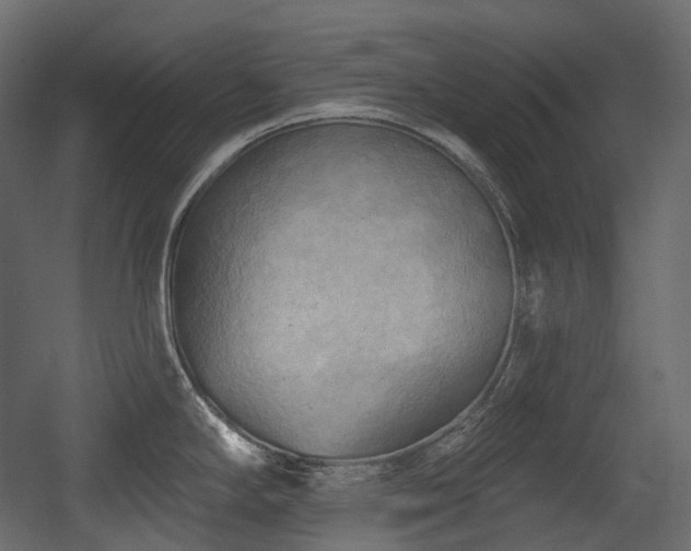 X0000054361294200508011210