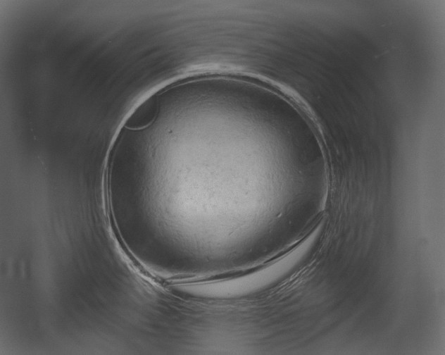 X0000054361295200508011210
