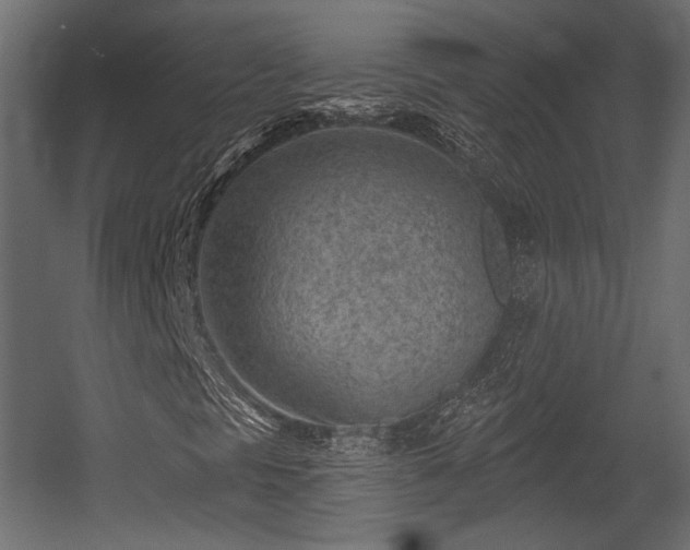 X0000054361297200508011209