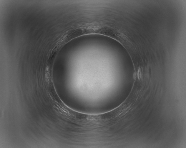 X0000054361299200508011210