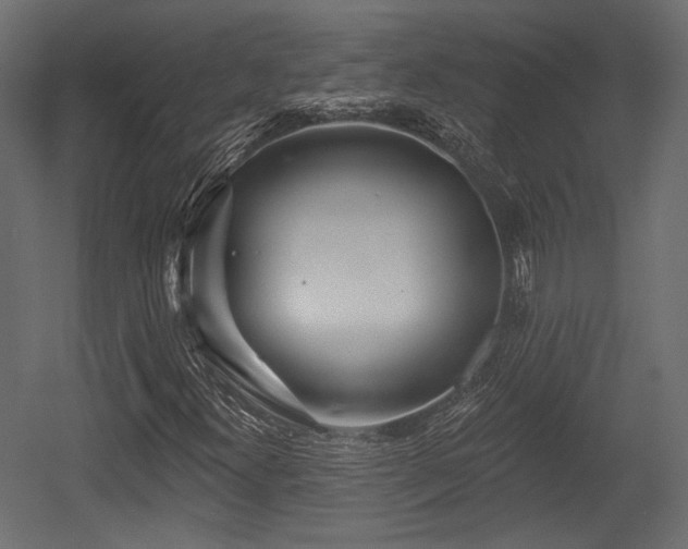 X0000054361300200508011210