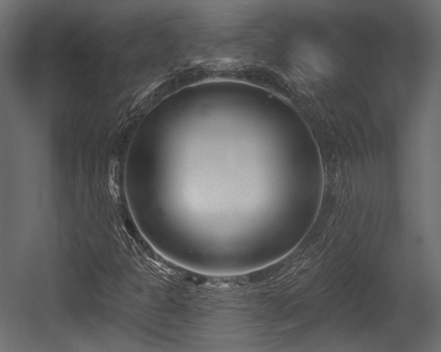 X0000054361301200508011210