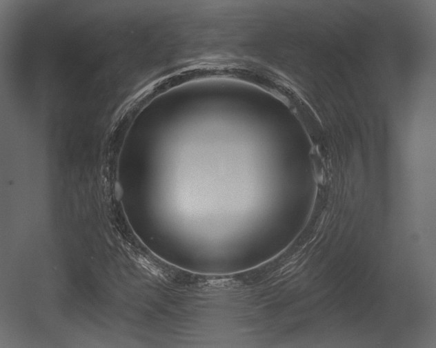 X0000054361304200508011210