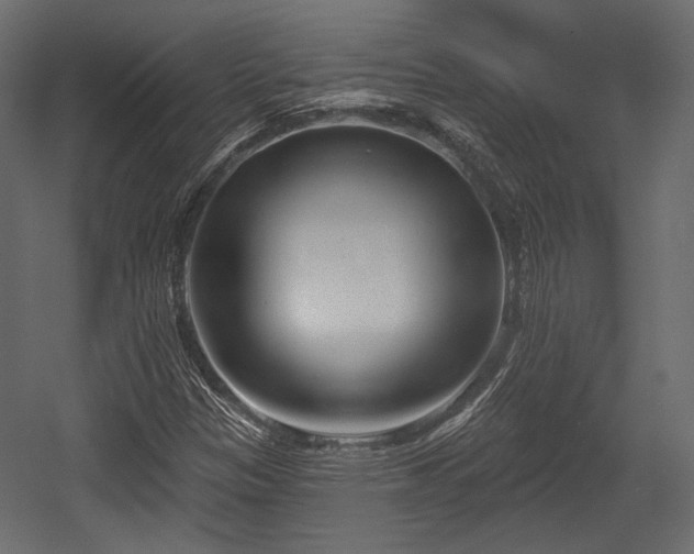 X0000054361305200508011210