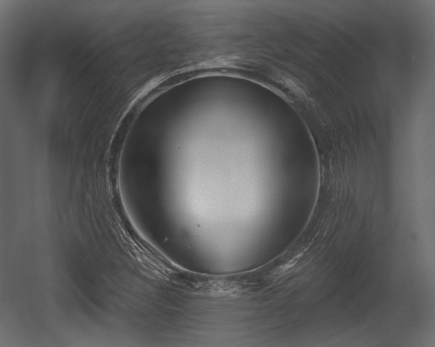 X0000054361308200508011210