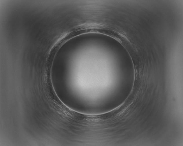 X0000054361309200508011210
