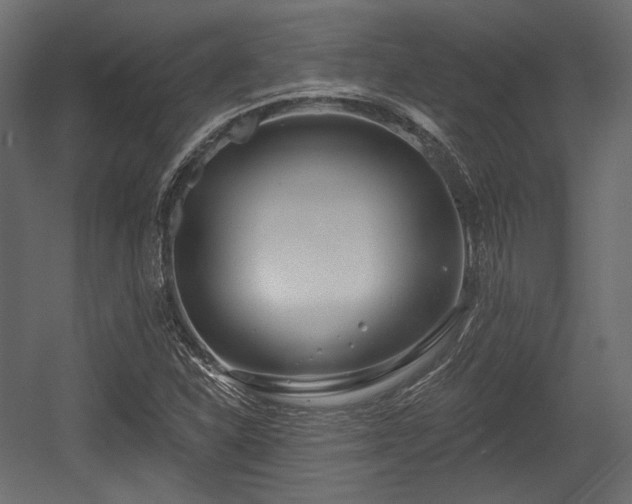 X0000054361310200508011210
