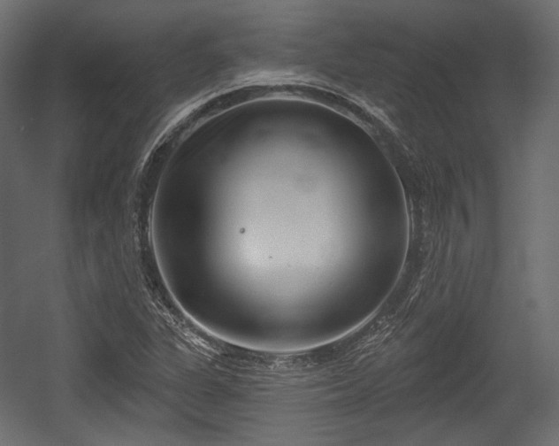 X0000054361311200508011210
