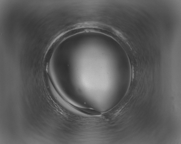 X0000054361312200508011210