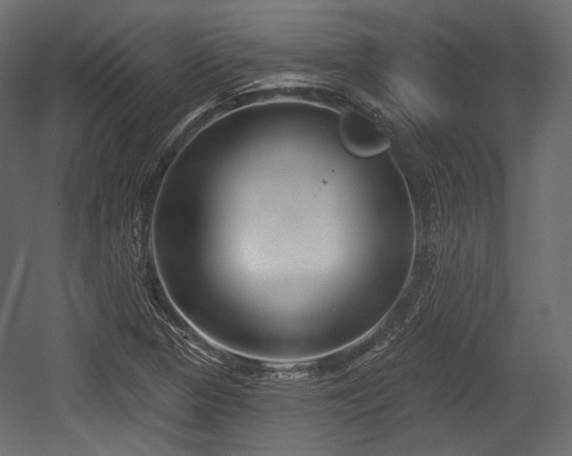 X0000054361313200508011210