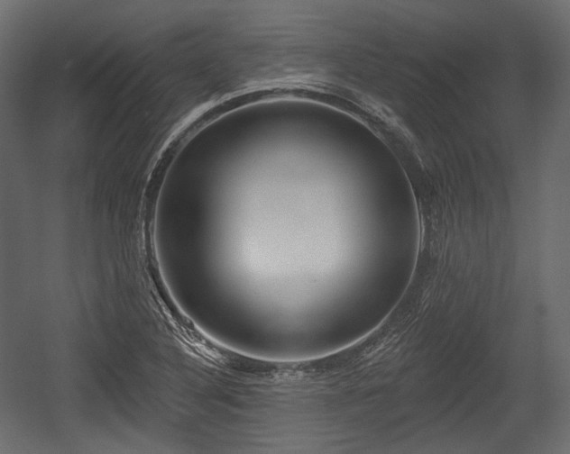 X0000054361316200508011210