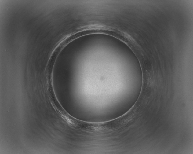 X0000054361318200508011210