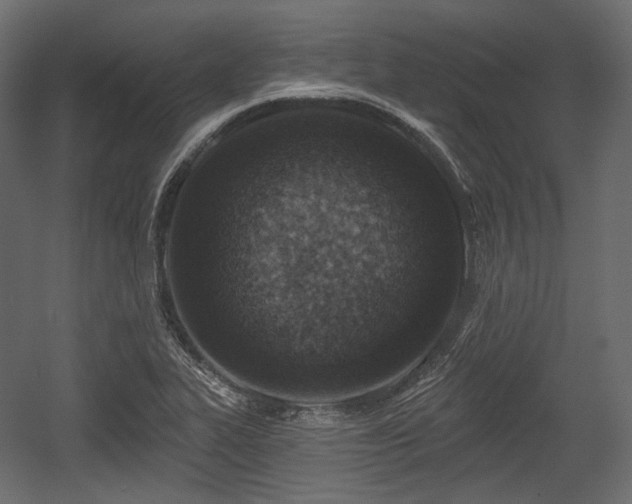 X0000054361319200508011210
