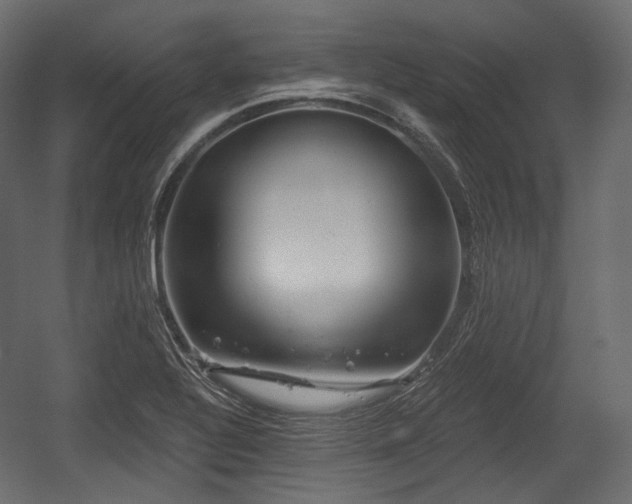 X0000054361320200508011210