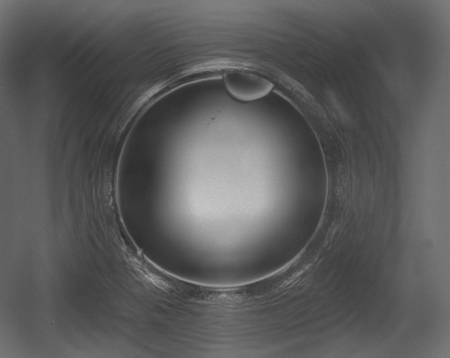 X0000054361321200508011210