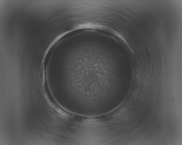X0000054361323200508011210