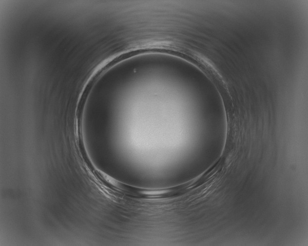 X0000054361324200508011210