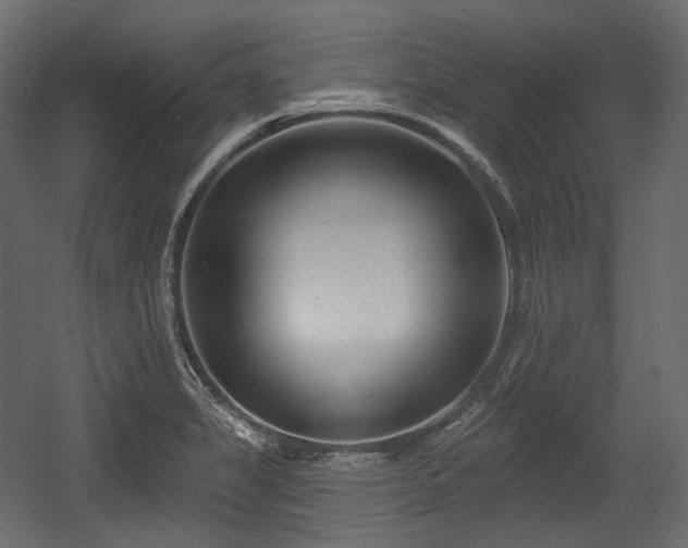 X0000054361325200508011210