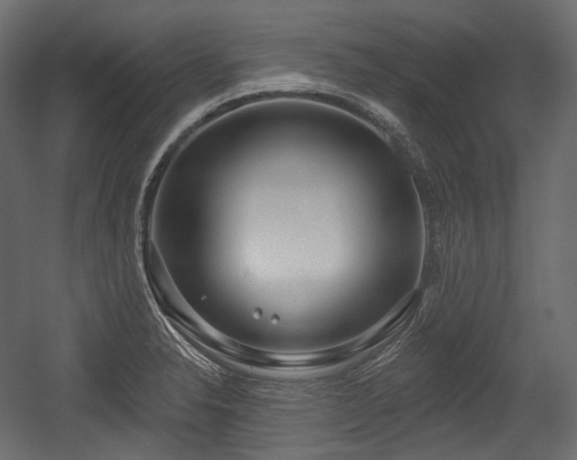 X0000054361326200508011210