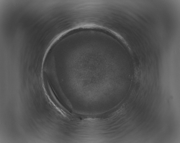 X0000054361327200508011210