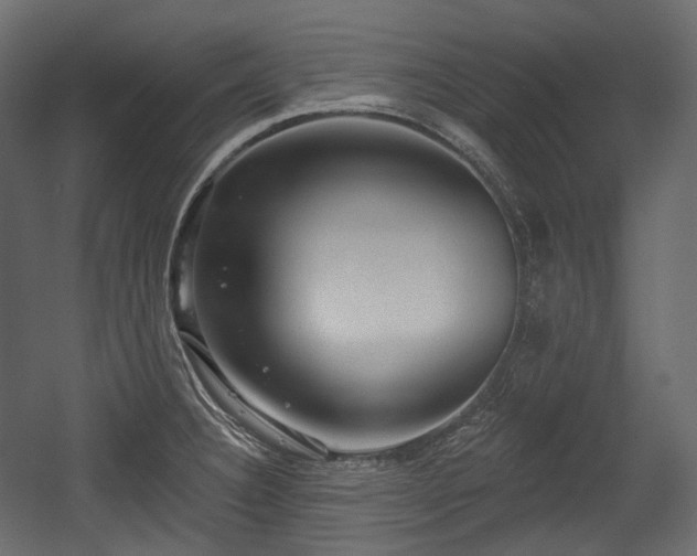 X0000054361332200508011210