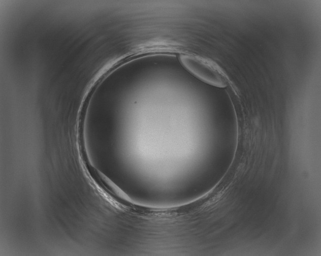 X0000054361333200508011210