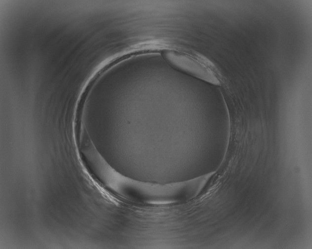 X0000054361334200508011210