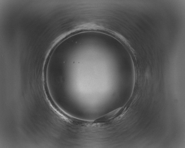 X0000054361335200508011210
