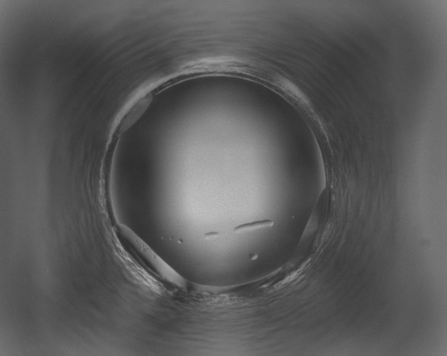 X0000054361336200508011210