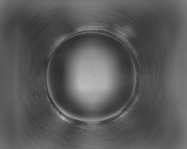 X0000054361337200508011210