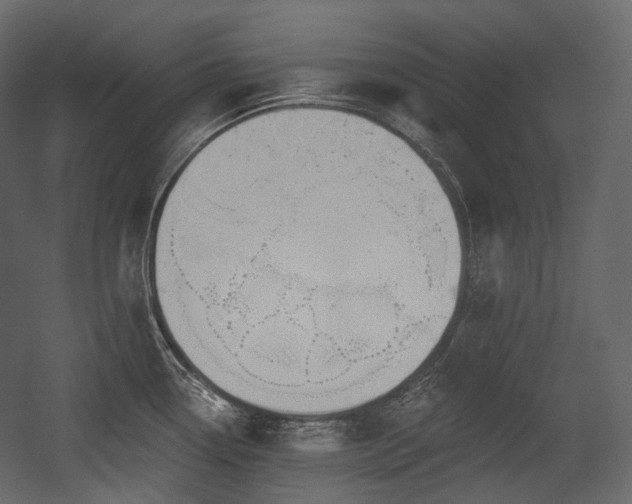X0000054361338200508011210