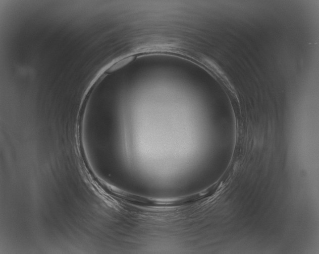 X0000054361340200508011210