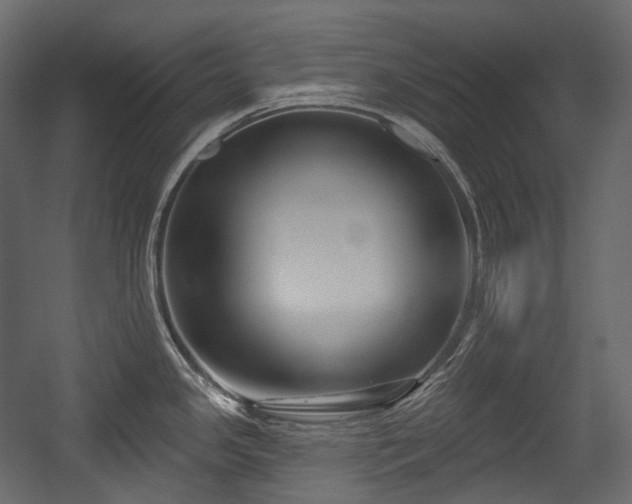 X0000054361341200508011210