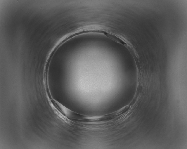 X0000054361342200508011210