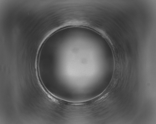 X0000054361343200508011210