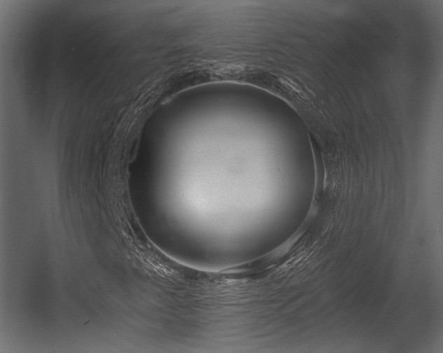 X0000054361345200508011209