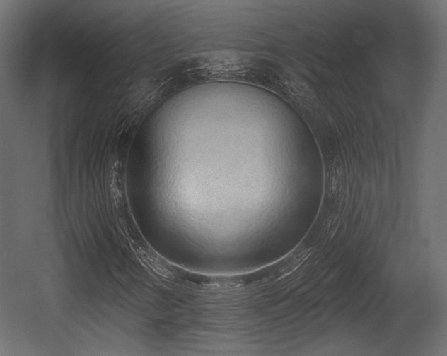 X0000054361346200508011209