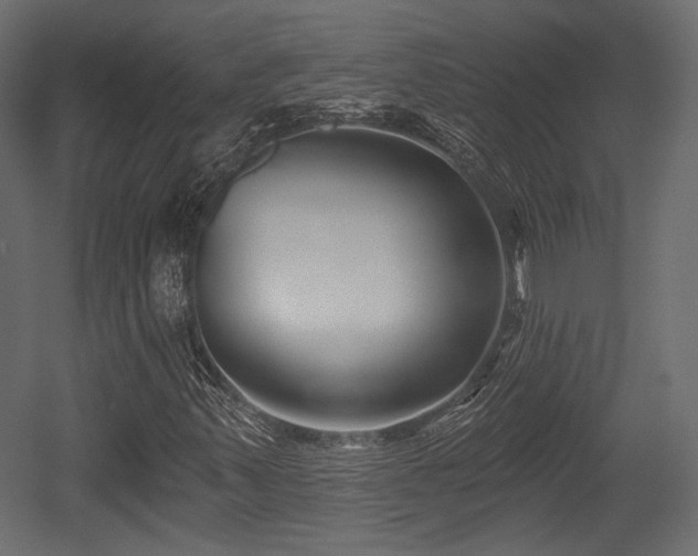 X0000054361347200508011209