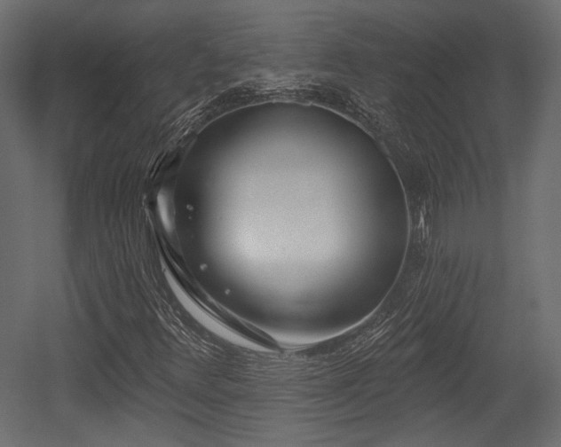 X0000054361348200508011209