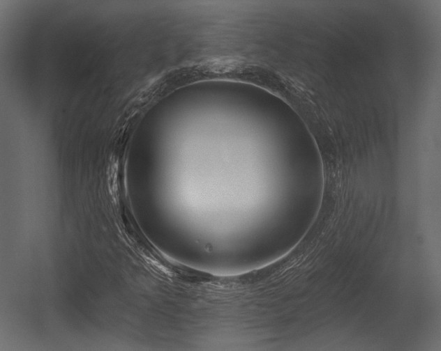 X0000054361349200508011209