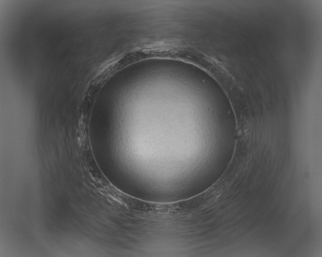 X0000054361350200508011209