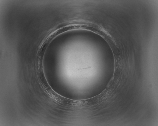X0000054361352200508011209
