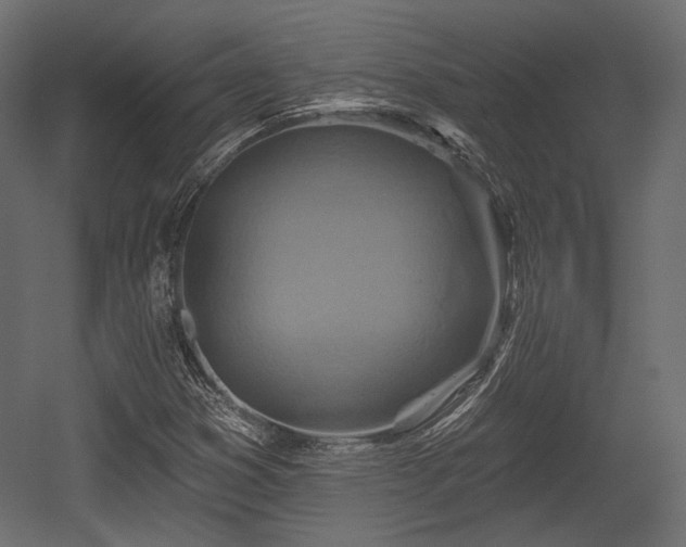 X0000054361353200508011209
